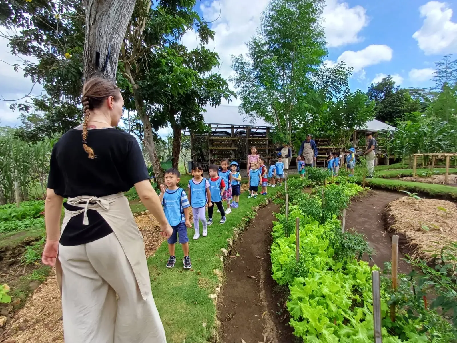 Outdoor farm